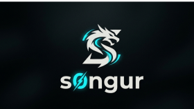 logo tasarımı yapabilirim
