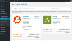 Wordpress