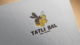 istediğiniz tarzda logoyu tasarlayabilirim
