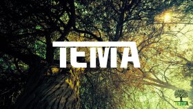 Tema Vakfı Rebranding
