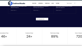 firmanız için kurumsal web site yaparım