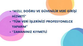 uzman olduğum veri giriş işlerini titizlikle tamamlarım