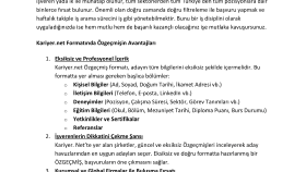 En Profesyonel Özgeçmiş Tasarımı