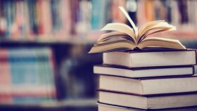 Kitap Seslendirme / Sabahattin Ali - Yeni Dünya