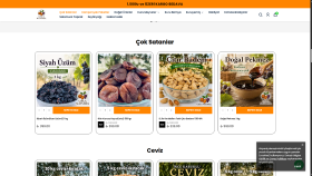 Profesyonel web sitesi