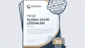metinlerinizi profesyonel ve akıcı bir şekilde çeviririm