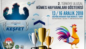 İş örneğim