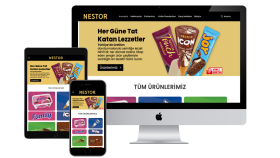 E-Ticaret Web Tasarım