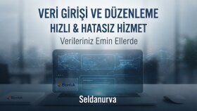profesyonel veri girişi yaparım