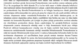 roman üzerine bir makale