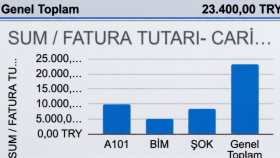 Pivot Tablo ve Grafik Destekli Dinamik Cari Satış Raporu