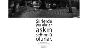 Anıt Ağaçlar konsept seri afişleri