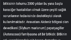 Zeolit Faydaları 