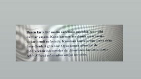 Kendi Kurgularımdan Alıntılar