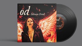 ŞebnemFerah Od albumu plak kapağı tasarımı