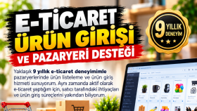veri girişlerinizi en iyi şekilde yapabilirim