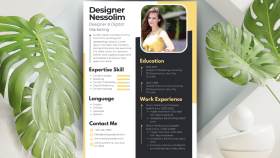profesyonel CV hazırlayabilirim
