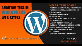 sizin için wordpress anahtar teslim web sitesi yapabilirim