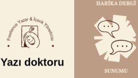 hızlı sürede SEO uyumlu blog yazısı yazarım