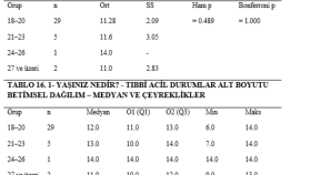Akademik İstatistiksel Analiz ve Raporlama