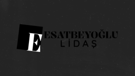 Lidaş Firması ve Eğitim Kurumu İçin Logo Tasarımım