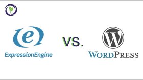 wordpress olan sitenizi expression engine yapıyorum