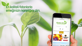 Fidan Diyarı