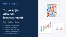 SPSS, R ve Python ile istatistiksel veri analizi yaparım