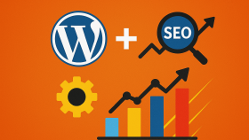 Wordpress ile site kurarım ve SEO desteği veririm