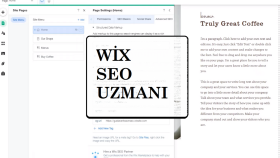 WİX SEO ayarlarınız sağlayabilirim