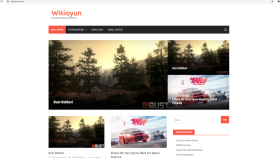 Sade ve profesyonel web siteleri