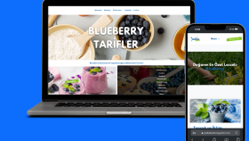 Blueberry Garden