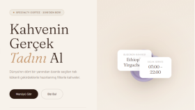 modern ve hızlı web siteleri tasarlarım