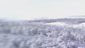 Motion (Hareketli) Tasarımlar