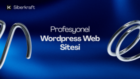 profesyonel WordPress web sitesi hazırlarım