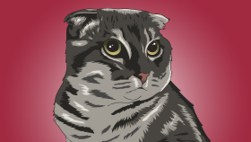 Kedi illüstrasyonu