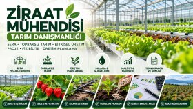 ziraat Y. mühendisi olarak tarımsal projelerinizi planlarım