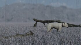 Render Örnek