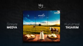 Maito - Sosyal Medya Tasarımı