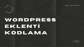 dilediğiniz WordPress eklentiyi profesyonel olarak kodlarım