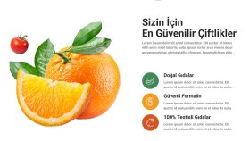👉 Modern Sağlıklı Yaşam & E-Ticaret Web Arayüzü (UI)