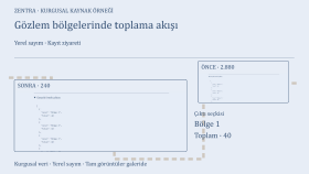 Gözlem bölgelerinde toplama akışı