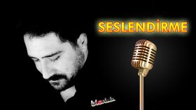 Profesyonel Sanatçılar