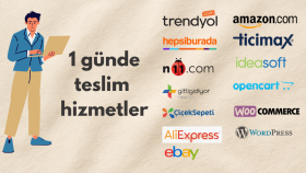 ürün giriş ve data giriş hizmeti sağlarım