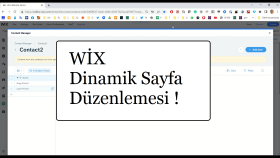 WİX ile dinamik sayfa düzenlemelerinizi yapabilirim