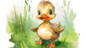 Little Duck İngilizce Çocuk Şarkım