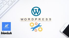 wordpress sitenizdeki tüm hata ve sorunları giderebilirim