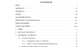 tezinizi veya makalenizi yazım formatına göre düzenlerim