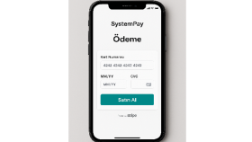 Stripe ile Güvenli Online Ödeme Entegrasyonu