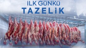 Instagram Post Tasarımı